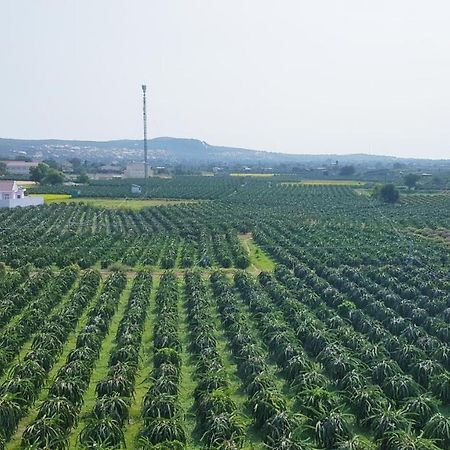 Homestay Thao Nguyen Xanh Lang Van Ke ภายนอก รูปภาพ
