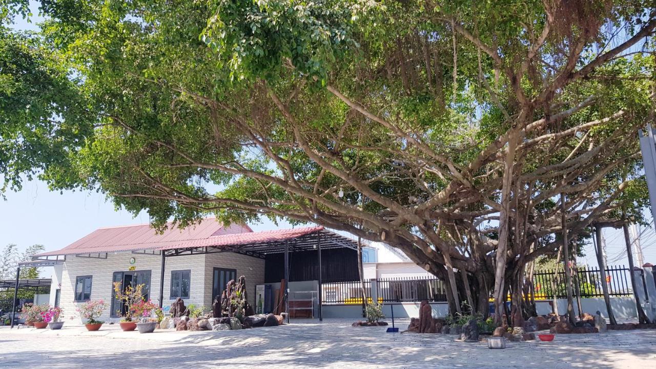 Homestay Thao Nguyen Xanh Lang Van Ke ภายนอก รูปภาพ
